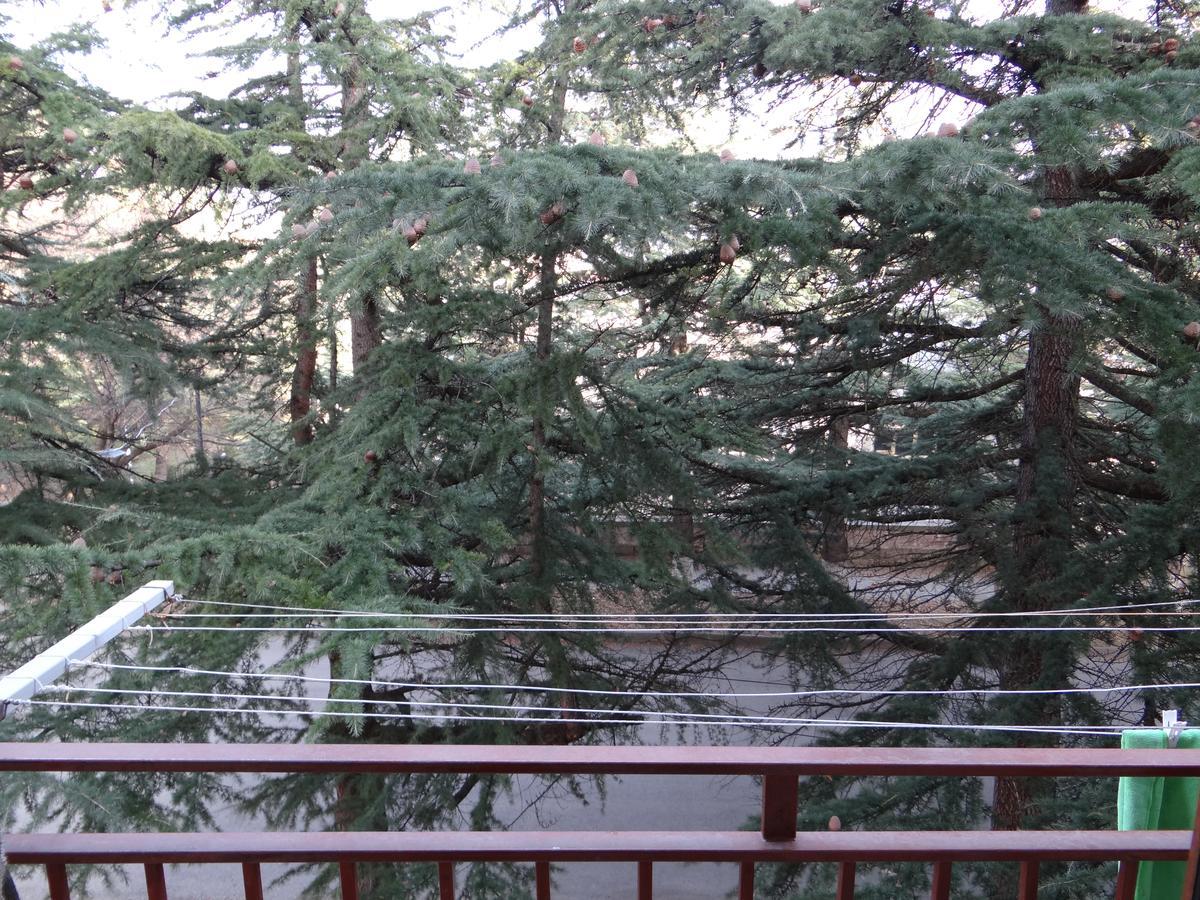 Dilijan Apartment Εξωτερικό φωτογραφία