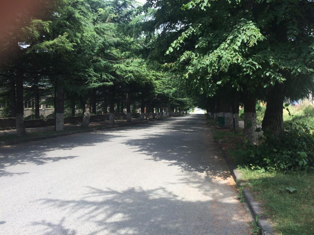 Dilijan Apartment Εξωτερικό φωτογραφία